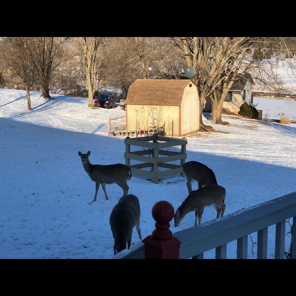 Meet your Posher, Karen